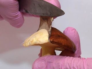 Vai man ir nepieciešams notīrīt sviestu no plēves (ādas): kāpēc šaut, oriģinālas metodes