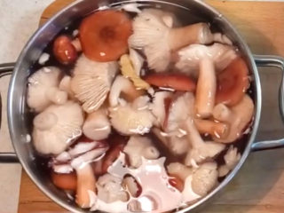 Kaip nulupti russula grybus ir mirkyti