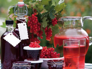 Herukka moonshine: reseptejä marjoista, silmuista, oksista