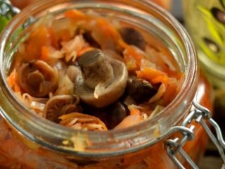 Solyanka receptes no safrāna piena vāciņiem ziemai