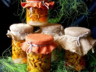 Cara menyimpan chanterelles selama beberapa hari dan untuk musim sejuk