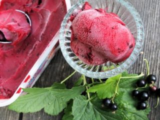 Resipi sorbet blackcurrant