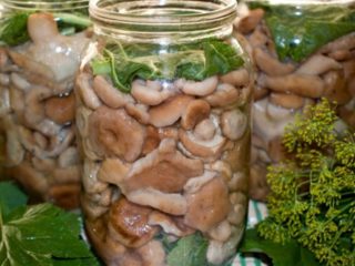 Ātra viļņu sālīšana mājās