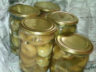 สูตรง่ายๆสำหรับการทำเกลือ volushki