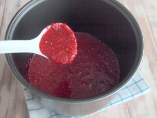 Kacang kismis merah dalam periuk perlahan Redmond, Panasonic, Polaris
