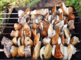 Porcini-sienet grillillä: grilli-reseptit