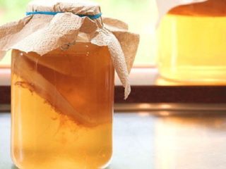 Kombucha med pankreatitt: er det mulig å ta, hvordan du drikker det riktig