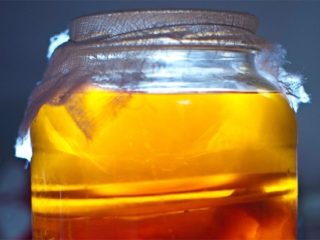 Kombucha flyter ikke (stiger ikke): grunner til hva du skal gjøre