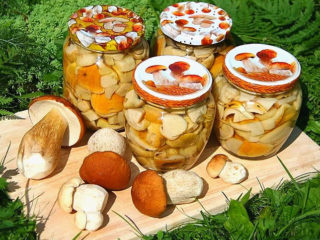 Marinētas baravikas: receptes bez sterilizācijas