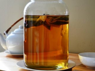 Er det mulig å drikke kombucha for gravide og ammende mødre: fordeler og skader, anmeldelser