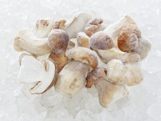 Cara membekukan cendawan porcini untuk musim sejuk di rumah