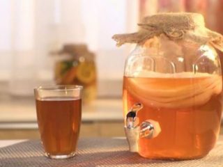 Kombucha nuo podagros: ar galima, ar ne, kas naudinga, kiek ir kaip gerti