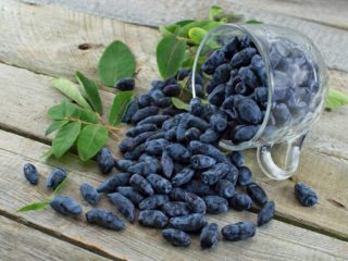 Mājas sausserdis vīns: vienkāršas receptes