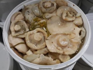 วิธีการดองเห็ดนมสำหรับฤดูหนาวที่บ้าน: สูตรอาหารอร่อยง่ายและรวดเร็ว