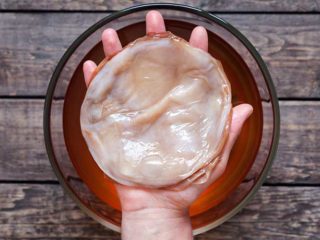 Hvor kommer kombucha fra: hvordan den dukket opp, hvor den vokser i naturen