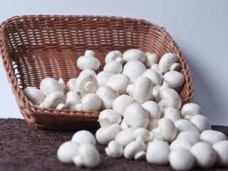 Champignon semasa mengandung: mungkin atau tidak, ciri dan peraturan penggunaan