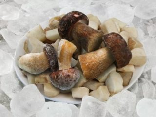 Frosne porcini sopp: hvordan lage mat, oppskrifter med bilder