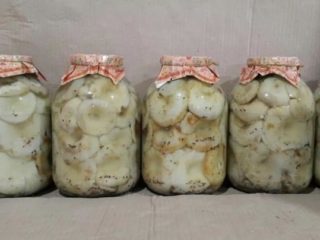 Berapa banyak cendawan susu masin dan cendawan segar disimpan