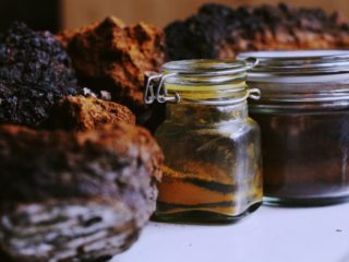 Chaga tincture: arahan penggunaan, resipi, ulasan
