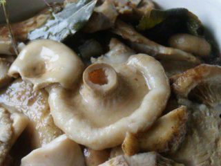 Cendawan susu acar: resipi untuk memasak musim sejuk, sejuk dan panas
