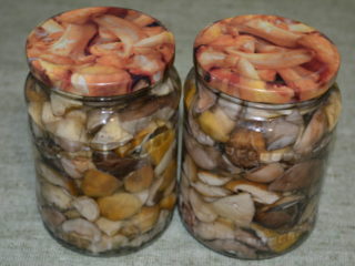 Marinētas baravikas: receptes ziemai ar fotogrāfiju