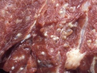Cisticerkoze (finnoze) liellopiem: foto, diagnostika un ārstēšana