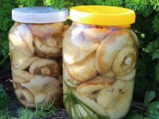 เห็ดนมขาวเค็มร้อน: สูตรการดองแบบโฮมเมด 12 สูตร