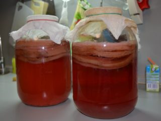 Kombucha: nauda ir žala žmogaus organizmui, sudėtis, kalorijų kiekis