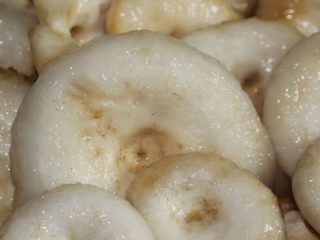 Asin cendawan susu sejuk dan panas dalam tong