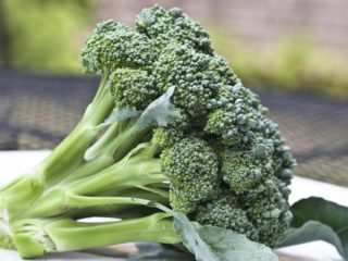 Broccoli-kål: fordele og skader, medicinske egenskaber, sammensætning