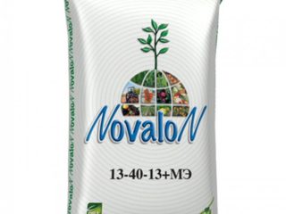 Pupuk Novalon: permohonan bawang hijau, tomato, kentang