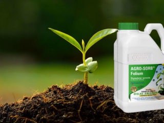 Huminsyre for planter: fordeler og skader, anmeldelser