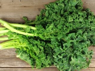 Salad Kale: sifat berguna dan kontraindikasi