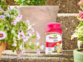 Gjødsel Osmokot: anmeldelser, bruksanvisning for planter og blomster