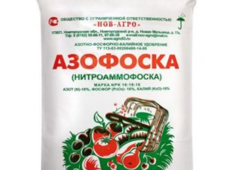 Azofos: lietošanas instrukcijas, kā audzēt, dārznieku atsauksmes