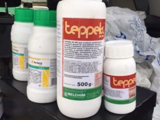 Insektisida Teppeki: cara merawat whitefly, thrips dan hama serangga lain