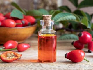 Minyak rosehip: faedah dan keburukan, arahan penggunaan