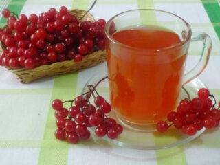 Viburnum sulas derīgās īpašības un kontrindikācijas