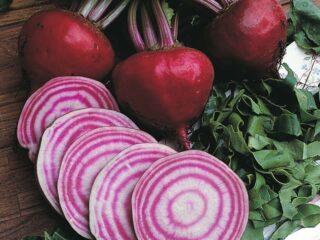 ลักษณะของ Beet Borsch คำอธิบายความหลากหลายประโยชน์และอันตราย