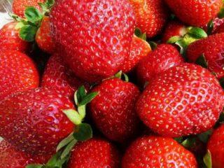 Zemeņu šķirne Belrubi: apraksts, fotogrāfijas un atsauksmes