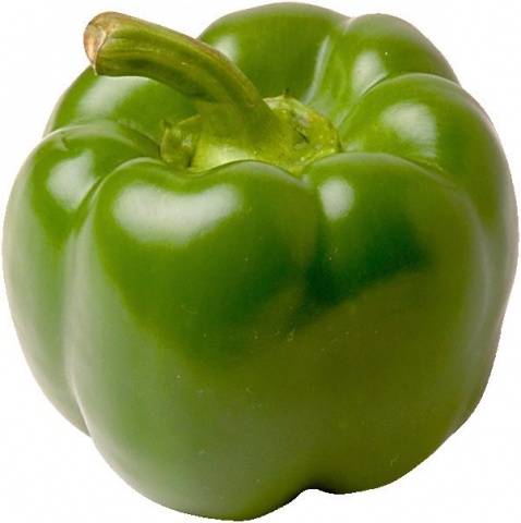 Ibišek