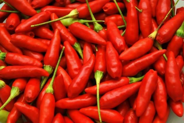 Tabasco