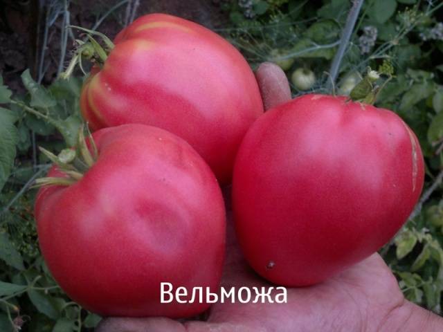 Грандее