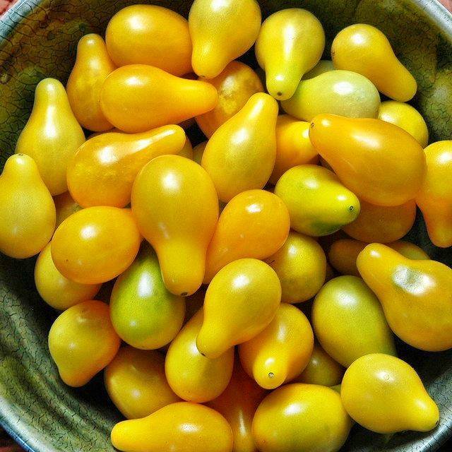 Nuez moscada blanca
