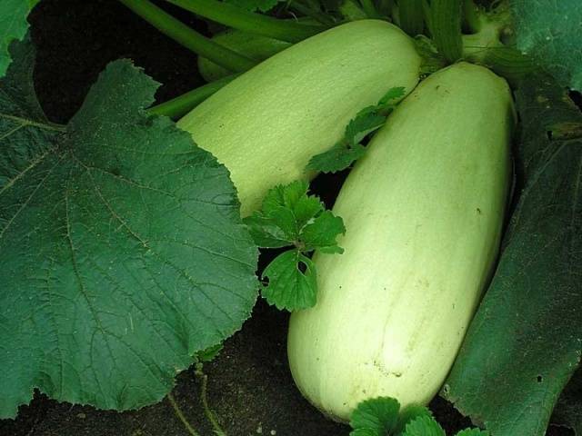 Chaklun