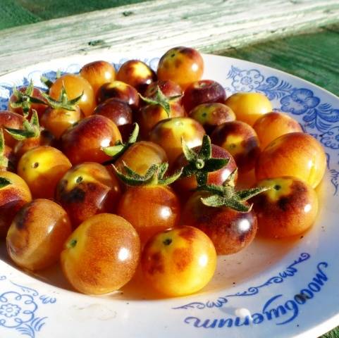 Cherry Ametyst Cream Cherry