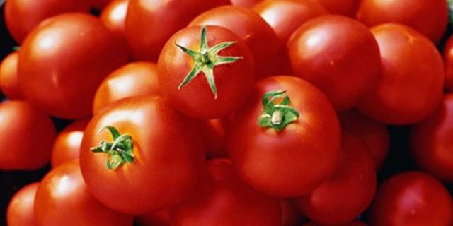 El deleite del jardinero