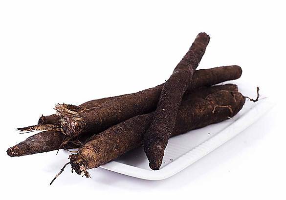 cigano