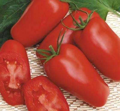 Variedade gaspacho
