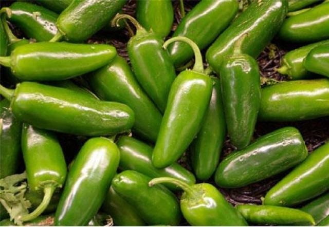 Jalapeno variety